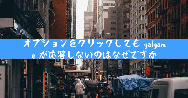 オプションをクリックしても galgame が応答しないのはなぜですか