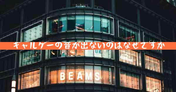 ギャルゲーの音が出ないのはなぜですか