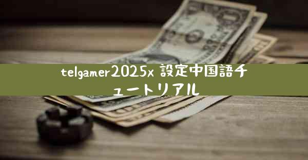 telgamer2025x 設定中国語チュートリアル