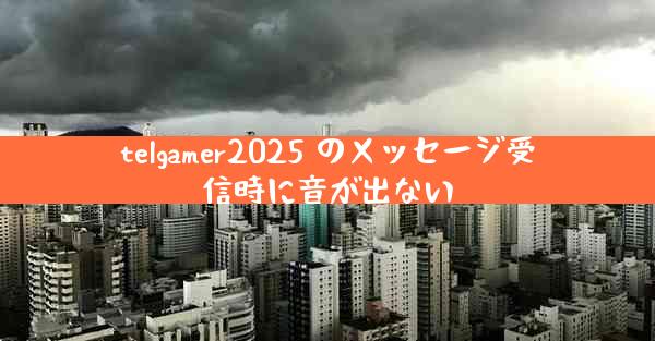 telgamer2025 のメッセージ受信時に音が出ない