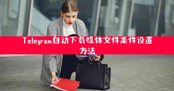 Telegram自动下载媒体文件条件设置方法