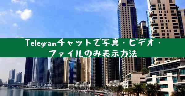 Telegramチャットで写真・ビデオ・ファイルのみ表示方法