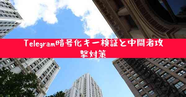 Telegram暗号化キー検証と中間者攻撃対策